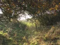 IMG_1901.JPG