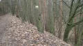 P1010027.JPG