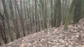 P1010028.JPG