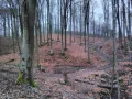 IMG_20200222_143042.jpg