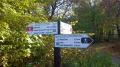 IMGP0922.JPG