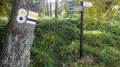 IMGP0926.JPG