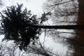 P1092500.JPG