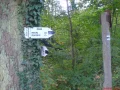 DSC05590.JPG