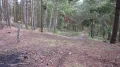 punkt trangulacyjny na górze lotników - zejście w kierunku szlaku.JPG