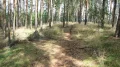 widok na pomnik od strony góry lotników.JPG