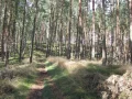 widok z góry lotników.JPG