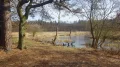 IMGP0148.JPG