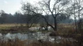 IMGP0149.JPG