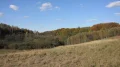 IMG_6913.JPG