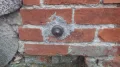 IMGP3161.JPG