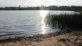 IMG_9041.JPG