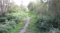 IMG_9160.JPG