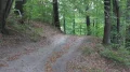 IMG_9146.JPG
