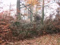 IMG_1945.JPG