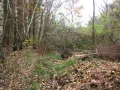 IMG_1953.JPG