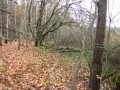 IMG_1955.JPG
