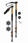 ROCKLAND KIJE TREKKINGOWE NORDIC WALKING HORIZON ALU