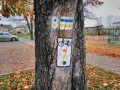 IMG_20211106_083656.jpg