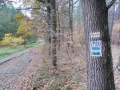 IMG_20211106_095538.jpg