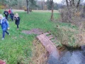IMG_20211106_095933.jpg