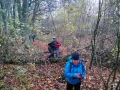 IMG_20211106_110412.jpg