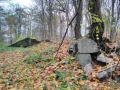 IMG_20211106_110827.jpg