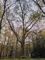 IMG_20211106_110838.jpg