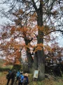 IMG_20211106_122026.jpg