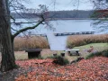 IMG_20211106_130512.jpg
