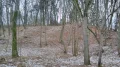 IMG_20220122_151308.jpg