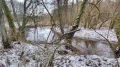 IMG_20220122_154742.jpg