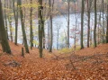 jezioro3.JPG