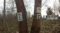 88 (Średni).JPG