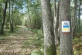 PA084434.JPG
