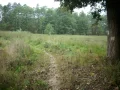IMG_0059.JPG