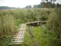 IMG_0061.JPG