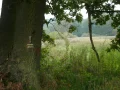 IMG_0063.JPG