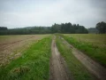 IMG_0064.JPG