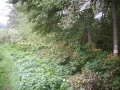 IMG_0065.JPG