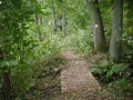 IMG_0069.JPG