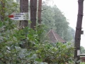IMG_5955.JPG