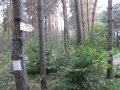 IMG_5956.JPG