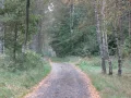 IMG_5962.JPG