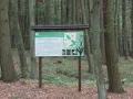 IMG_5970.JPG