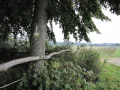 IMG_5977.JPG