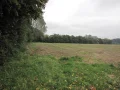 IMG_5978.JPG