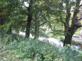 IMG_5993.JPG