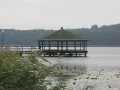IMG_6005.JPG