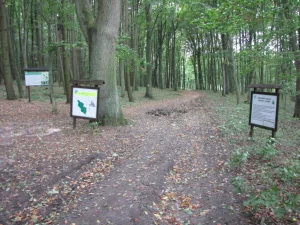P-ZKA-138, Ścieżka dydaktyczna "Las Samliński, 2km
